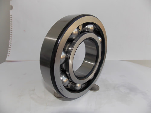 Black-Horn Lmported Pprocess Bearing Manufacturers China